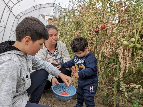 Gergana and her kids tend to the plants in the greenhouse